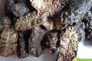 Fruta de Noni Seca Orgánica de Vietnam/ (Ms Holiday) - Product Image 5