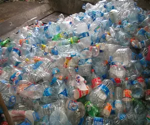 Harga Pabrik Kepingan Botol Plastik Plastik Plastik Plastik Bening Dicuci Dingin dan Panas