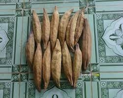 KAPOK ไฟเบอร์สําหรับตาข่ายนก ขายจากเวียดนาม SOFHIE - Product Image 5