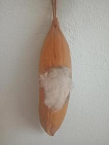 ใยฝ้ายกระเจี๊ยบสำหรับทำตาข่ายนก/ผลิตในเวียดนาม/ - Product Image 3