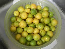 Tươi/đông lạnh/Khô quất nước trái cây tập trung/calamansi - Product Image 5