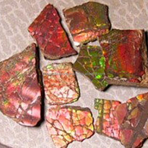 Ammolite Naturelle Brute Non Taillée Formes Mixtes Multicolore Vente en Gros Prix Usine Personnalisé Coszcalt Exports - Product Image 5