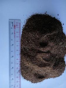 POLVO DE MELAZA DE CAÑA DE AZÚCAR SECA ORIGEN VIETNAM/Sra. Lily - Product Image 2