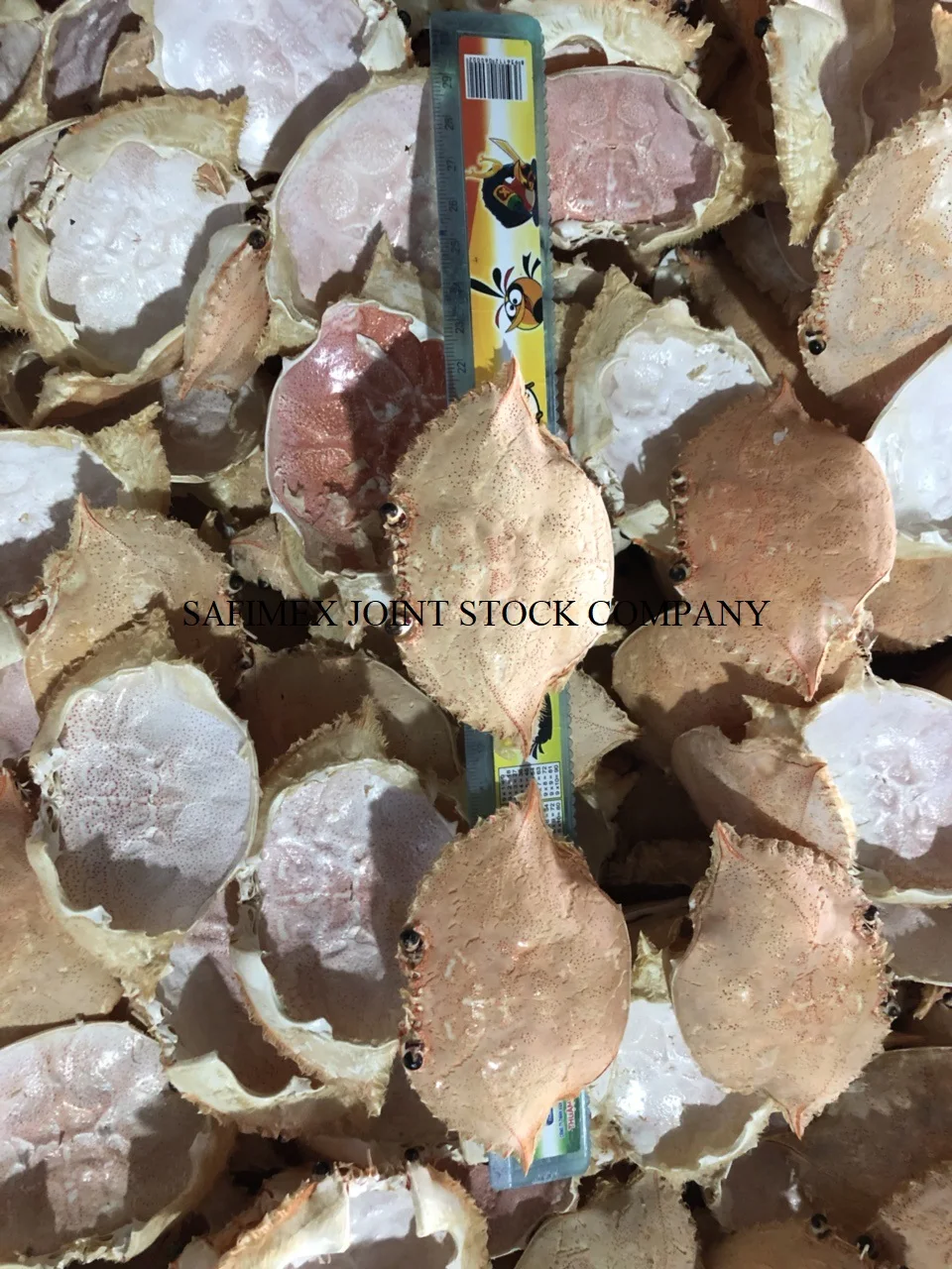 Dried Small Anchovy fish 4-6cm Not Boil Type from Vietnam Supplier 2022