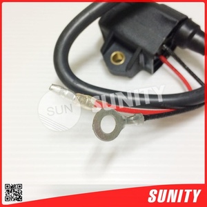 Nuevo Motor Fuera de Borda de Gasolina de 4 Tiempos TAIWAN SUNITY 9.9HP 15HP, Piezas 6R3-85570-01, Conjunto de Bobina de Encendido de Alta Eficiencia ISO9001 - Product Image 5