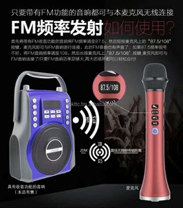 Reproductor de Karaoke mágico, inalámbrico, BT, efecto de sonido profesional, hierba, <span class=keywords><strong>trigo</strong></span> - Product Image 6