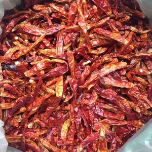 DRIED CHILI/RED CHILI WHOLE DRIED VIETNAM SPICES 2020/Whatsapp: +84 845 639 639