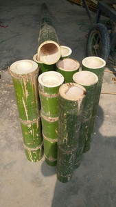 Viet Delta Holiday - Poteaux en bambou 100% - Clôture en bambou et produits en bambou à prix abordable - Product Image 2