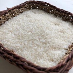 Arroz blanco de grano largo, arroz 100% roto, barato, a la venta - Product Image 2