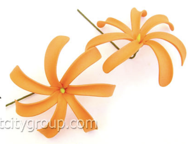 สีส้มล้วน