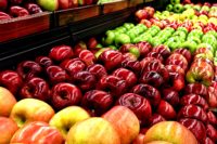 Premium kwaliteit appelconcentraat - Fuji variëteit, gele kleur, vers uit Zuid-Afrika, 1 jaar houdbaar, eigen merk