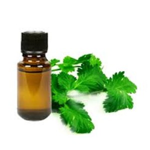 Huile essentielle de graine de coriandre naturelle pure 100% pour la saveur alimentaire - Product Image 3