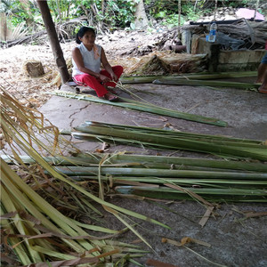 Material de papel de pared de fibra natural de hierba de rafia de Madagascar filipina 10mm 4mm Especificaciones patrón crudo rollo sombrero flor embalaje - Product Image 6