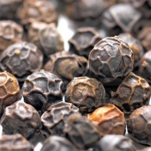 Precio DE FÁBRICA DE Vietnam, alta calidad, negrita, 5MM, pimienta negra, superventas, procesamiento crudo seco, WhatsApps 0084915196568 - Product Image 6
