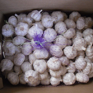 Fournisseur d'ail frais blanc naturel, grande taille, vente en gros - Product Image 1
