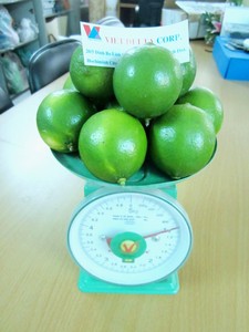 Chất lượng cao bearss không hạt Lime/Màu xanh lá cây không hạt Lime - Product Image 5