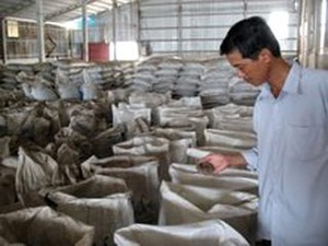 Farine de coprah - Farine de coprah de noix de coco de la meilleure qualité 2024 - Product Image 5