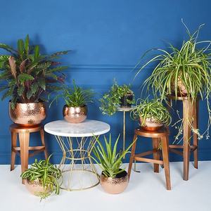 Maceta Redonda de Latón Dorado de Alta Calidad y Estilo Nuevo, Decoración para el Hogar, Florero de Mesa, Maceteros - Product Image 4