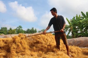 ใยมะพร้าว / บล็อกใยมะพร้าว - Product Image 3