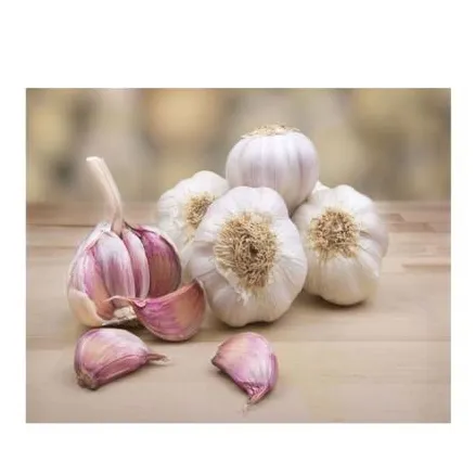 Wholesale Dried purple/white garlic/whatsapp 84845639639