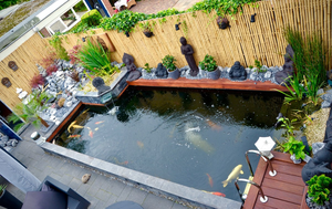 CLÔTURE EN BAMBOU GARGEN NATUREL DE HAUTE QUALITÉ 2024 - Product Image 2