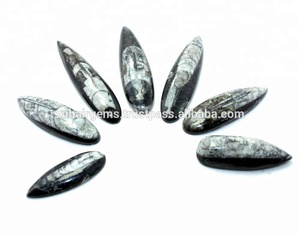 Orthopédique naturel, Cabochon fossile en forme de poire, qualité supérieure, prix de gros - Product Image 1