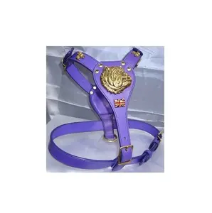 Real Leather No Pull Easy Adjustable And Removable Dog Harness At Best Market Price