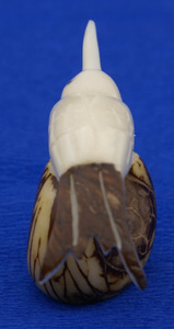 Colibri Figurine Collection Sculpté À La Main Colibri Sculpture Statue Oiseau Tagua Noix Décor Animal Nautique Équatorien Conception - Product Image 2