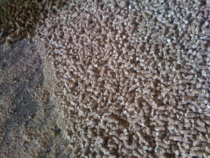 Pellet de tapioca de almidón Premium Producto agrícola Premium - Product Image 3