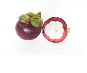 Fresh Mangosteen in Viet Nam/ high quality/ sweet/ Whatsapp +84 845639639