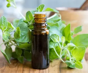 Aceite de menta OEM, Etiqueta Privada, embalaje personalizado - Product Image 1