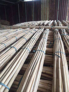 Écorce et écorce de rotin pour toile de bureau, en osier, données en or 99 - Product Image 5