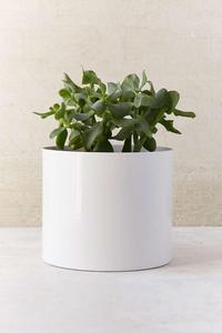 Jardinière en métal de couleur rouge dernier design jardinière en seau en fer galvanisé pour la maison et le jardin jardinière de fleurs décoratives - Product Image 6