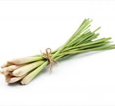 ตะไคร้สด/2020ตะไคร้เวียดนาม - Product Image 2