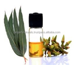 ผู้ผลิตน้ำมันหอมระเหยยูคาลิปตัสบริสุทธิ์ 100% จากธรรมชาติ - Product Image 2