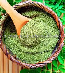 Proveedor a granel de polvo de Moringa de India - Product Image 3