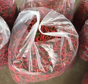 Chiles Rojos Orgánicos de Vietnam, Vegetales Frescos Congelados, Pimientos Picantes de 4-6 cm, Picantes Naturales, Selección Cuidadosa, Calidad Superior, Venta al Por Mayor - Product Image 4
