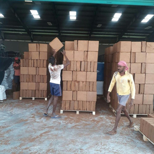 Fertilizante de jardín de turba de COCO de alta eficiencia - Product Image 3