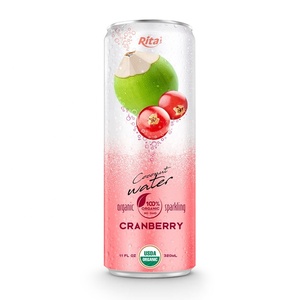 Bebida de Coco Espumosa en Lata de 320 ml, Bebida Rita con Sabor a Fruta, Baja en Carbohidratos, Puré de Alta Calidad a un Precio Razonable - Product Image 2