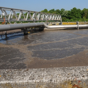 Producto biológico para biorremediación de planta industrial de tratamiento de agua con precio - Product Image 5