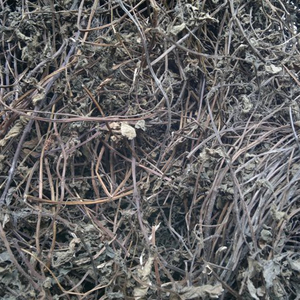 <b>Dried</b> <b>Grass</b> Jelly in VietNam High Quality and Best Price - Product Image 2