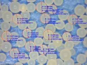 Augmenter la production de lait dans les tws de marguerite, palmiers, bypass des graisses - Product Image 3