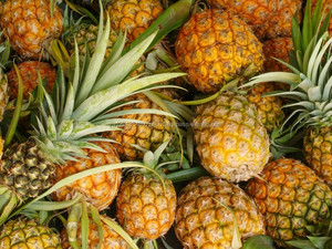 HOT New Fresh Canned <b>pineapple</b> slice/chunks/tidbits/pieces in <b>light</b> syrup or in heavy syrup Good Price - Product Image 4