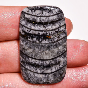 Cabochons Orthoceras de haute qualité Pierres précieuses en vrac Belle forme de mélange lisse de toutes tailles Pierres précieuses de guérison à dos plat faites à la main - Product Image 3