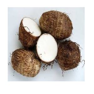 ผงเผือกขายดีจากเวียดนาม / จัดจำหน่ายโดยโรงงาน - Product Image 1