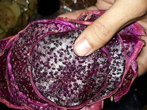 อร่อยแห้งมังกรแดงผลไม้จากเวียดนาม - Product Image 4