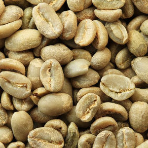 Granos de café Robusta de Vietnam Tamaño 18 Nueva cosecha Green Direct Farms Factory Venta al por mayor Precio bajo Alta calidad-HANFIMEX 0084915196568 - Product Image 6