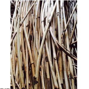 High Grade Fresh Raw <b>Rattan</b> Cane <b>Webbing</b> for Furniture-Roll Packing Promotional Brand Vegetable - Product Image 1