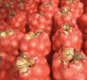 หัวหอมสีเหลืองกลมไม่ปอกเปลือกแบบออร์แกนิกรสเผ็ดสดขนาด10ซม. - Product Image 1