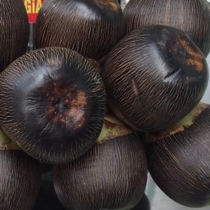 เยลลี่ปาล์ม/เยื่อปาล์ม 100% ธรรมชาติ ผลิตในเวียดนาม - Product Image 6